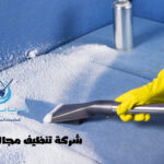 شركة تنظيف مجالس بالطائف