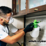 شركة مكافحة حشرات بالطائف
