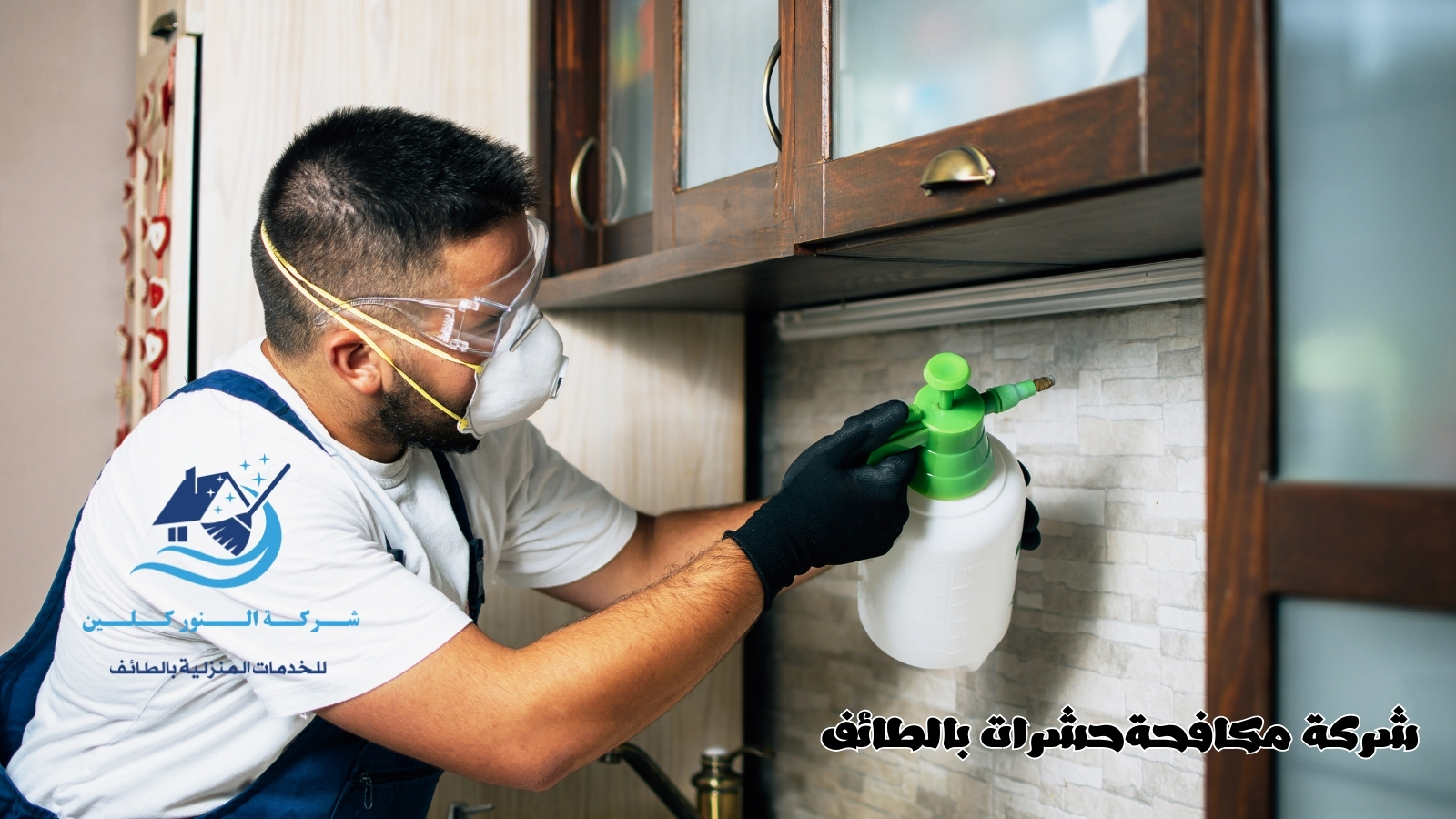 شركة مكافحة حشرات بالطائف