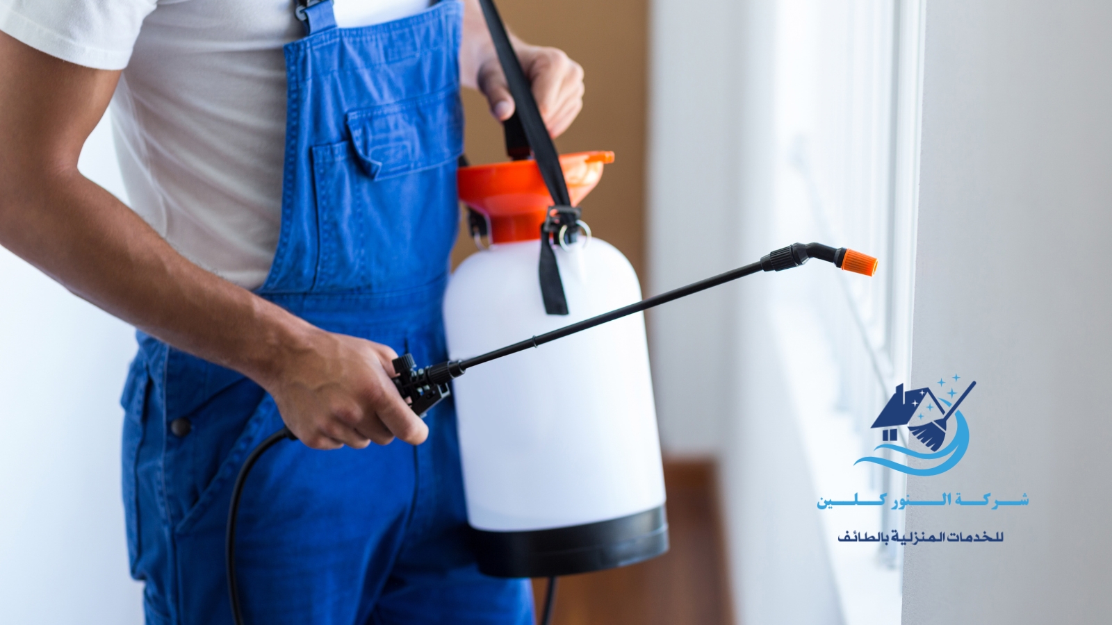 شركة مكافحة حشرات بالطائف